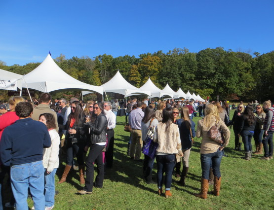 food and wine spirit jersey