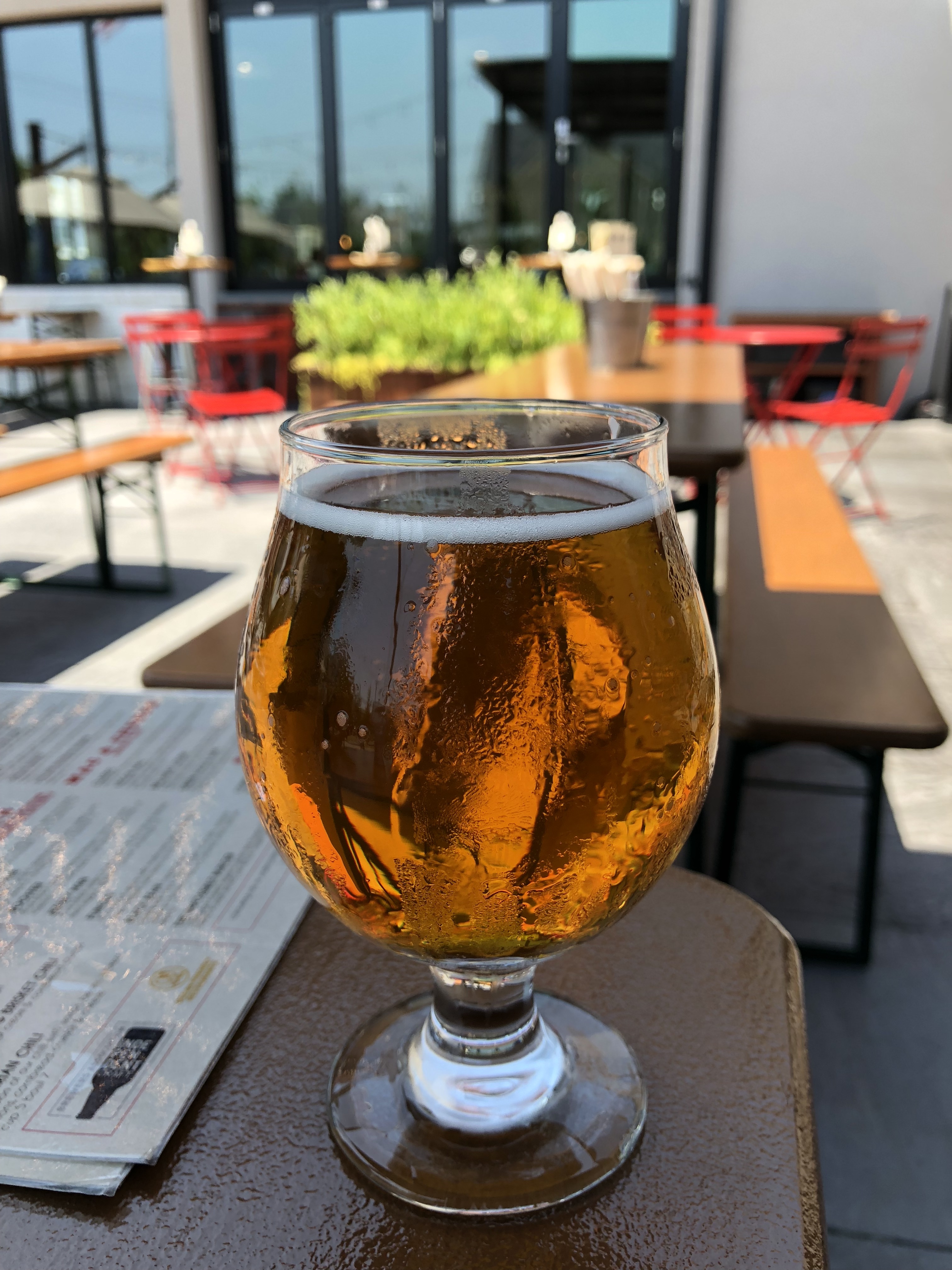 Beers And Bites At Mud Hen Brewing Co In Wildwood, NJ