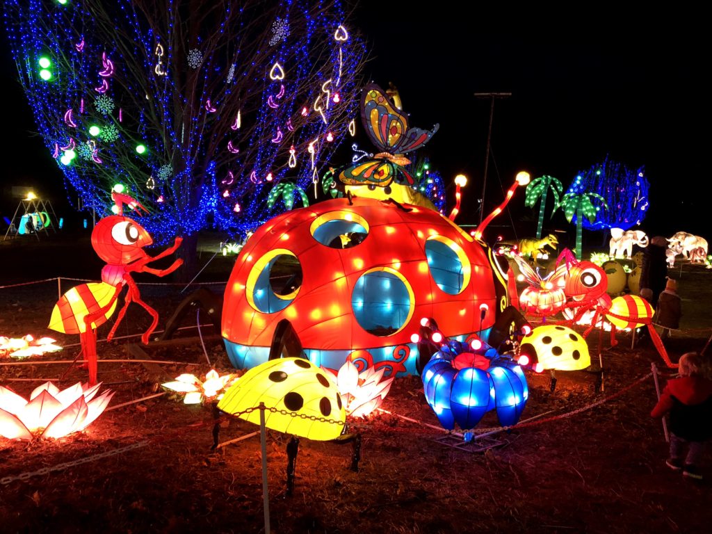 Vernon Lights Festival: Pandas, Dinosaurs, and Millions of Lights...oh my!