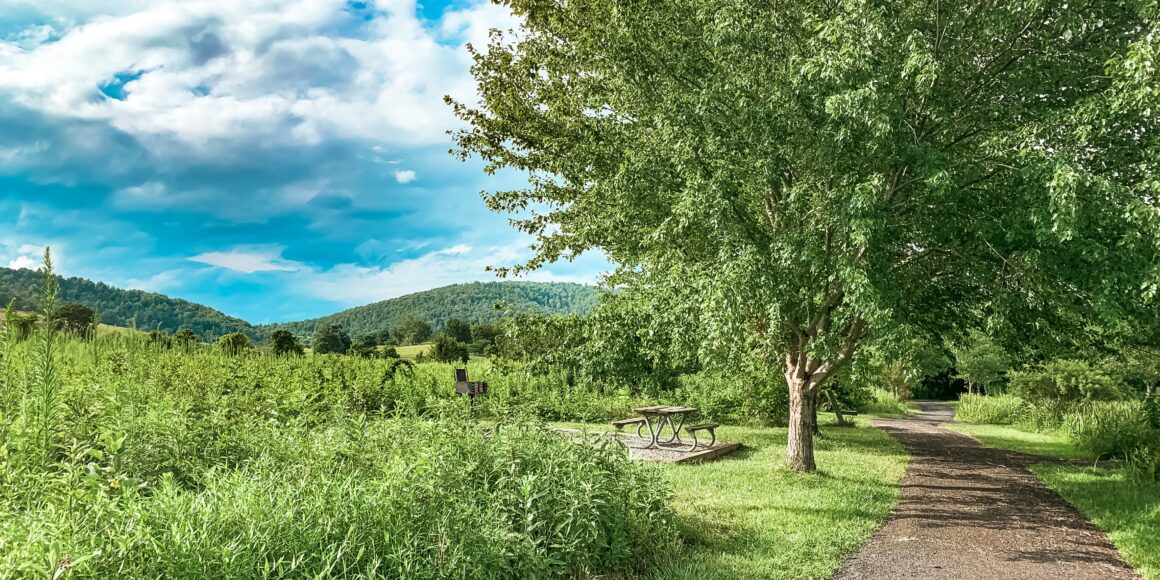 NJIB's Guide To New Jersey State Parks