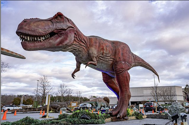 freehold dinosaur safari